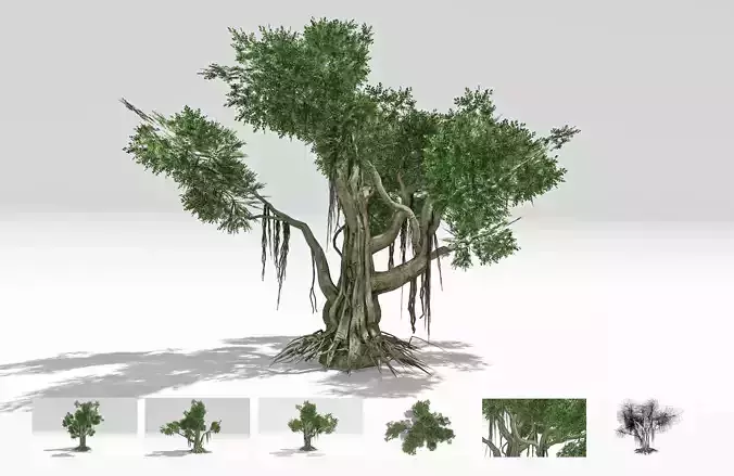 Chinese Banyan Tree-S2 Low-poly 3D model