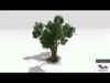 Chinese Banyan Tree-S2 Low-poly 3D model_1