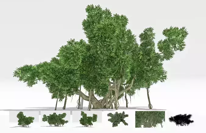 Chinese Banyan Tree-S3 Low-poly 3D model