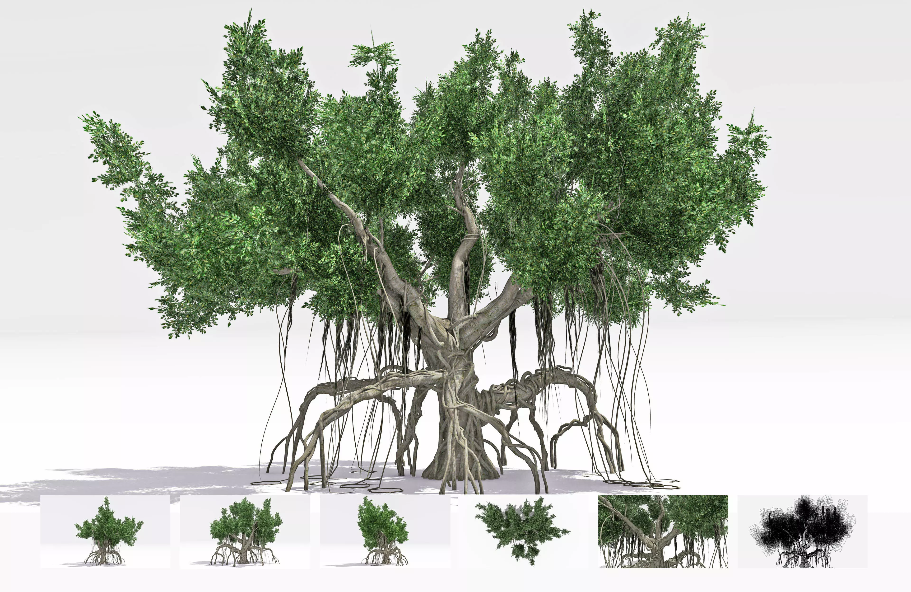 Chinese Banyan Tree-S4 Low-poly 3D model