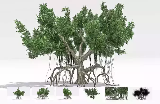 Chinese Banyan Tree-S4 Low-poly 3D model