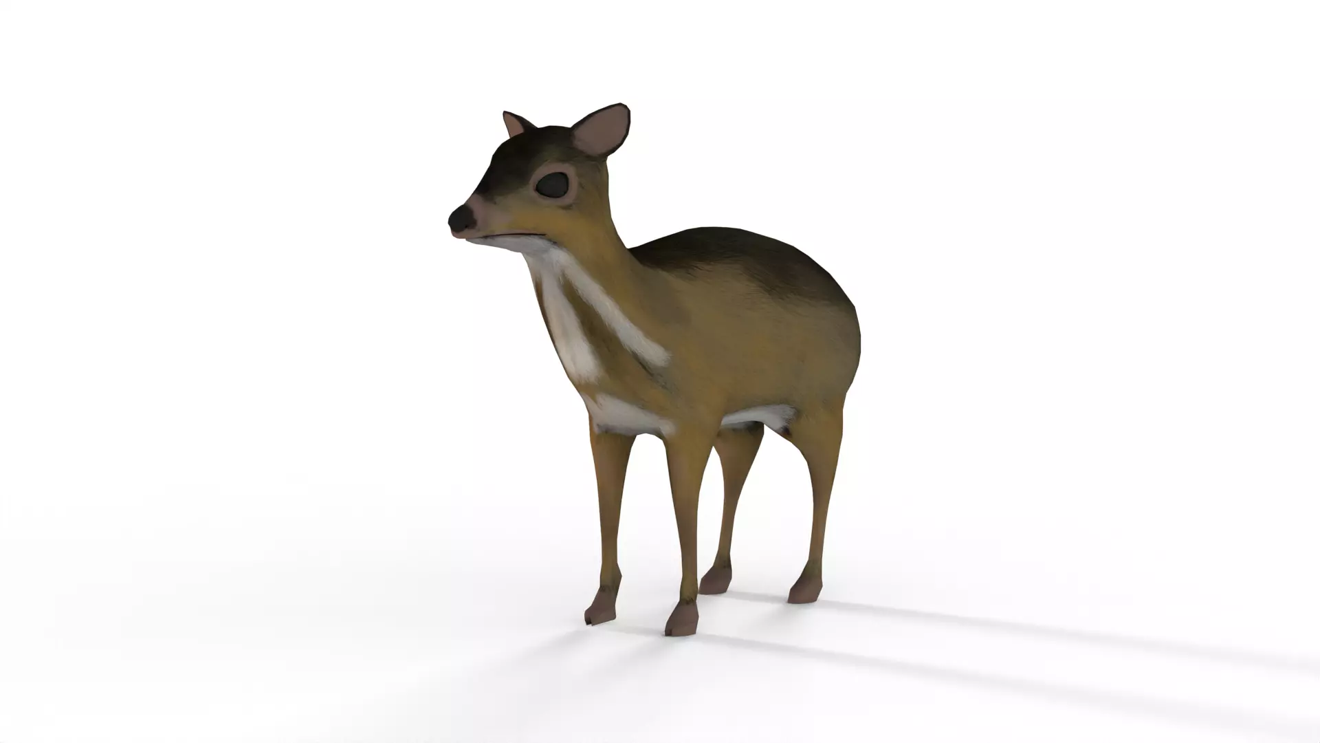  sang kancil Low-poly 3D model_0