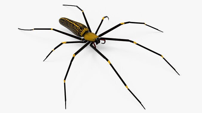 Goldern Web Spider Low-poly 3D model