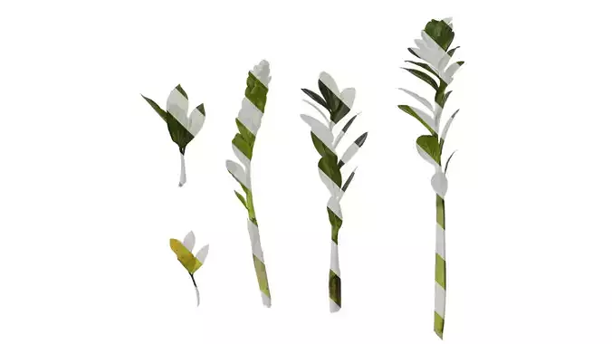 Anydrafts Zamioculcas zamiifolia Atlas 01