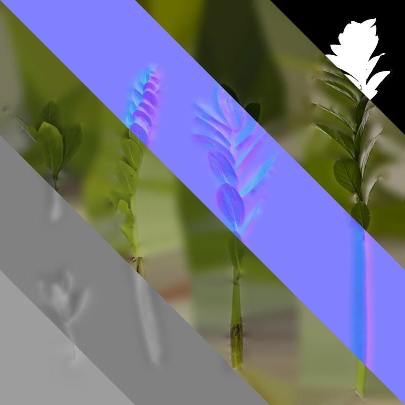 Anydrafts Zamioculcas zamiifolia Atlas 01 Texture_8