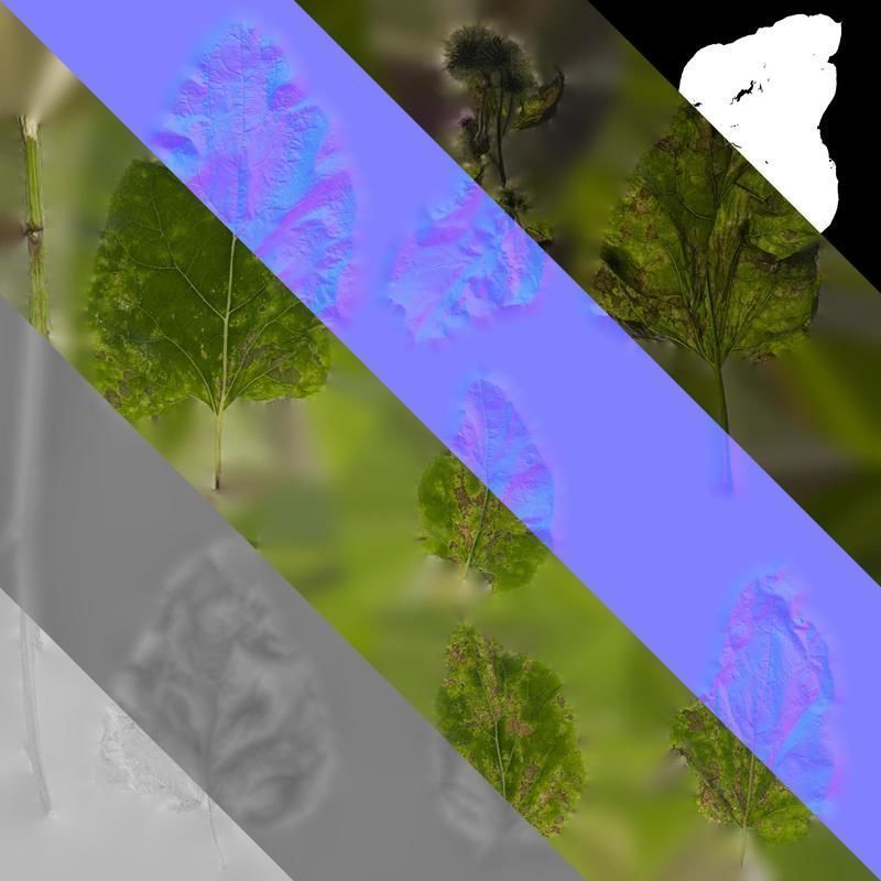 Anydrafts Arctium lappa Leaf 01 Texture_8