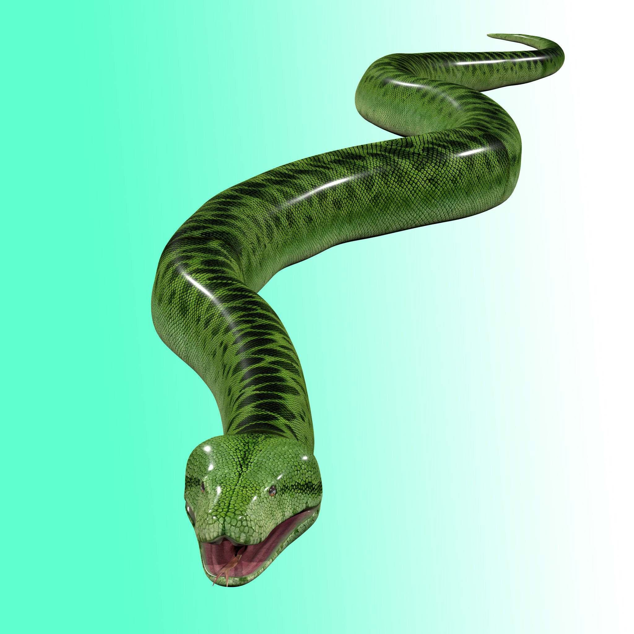 Green Python Snake 3D model_7