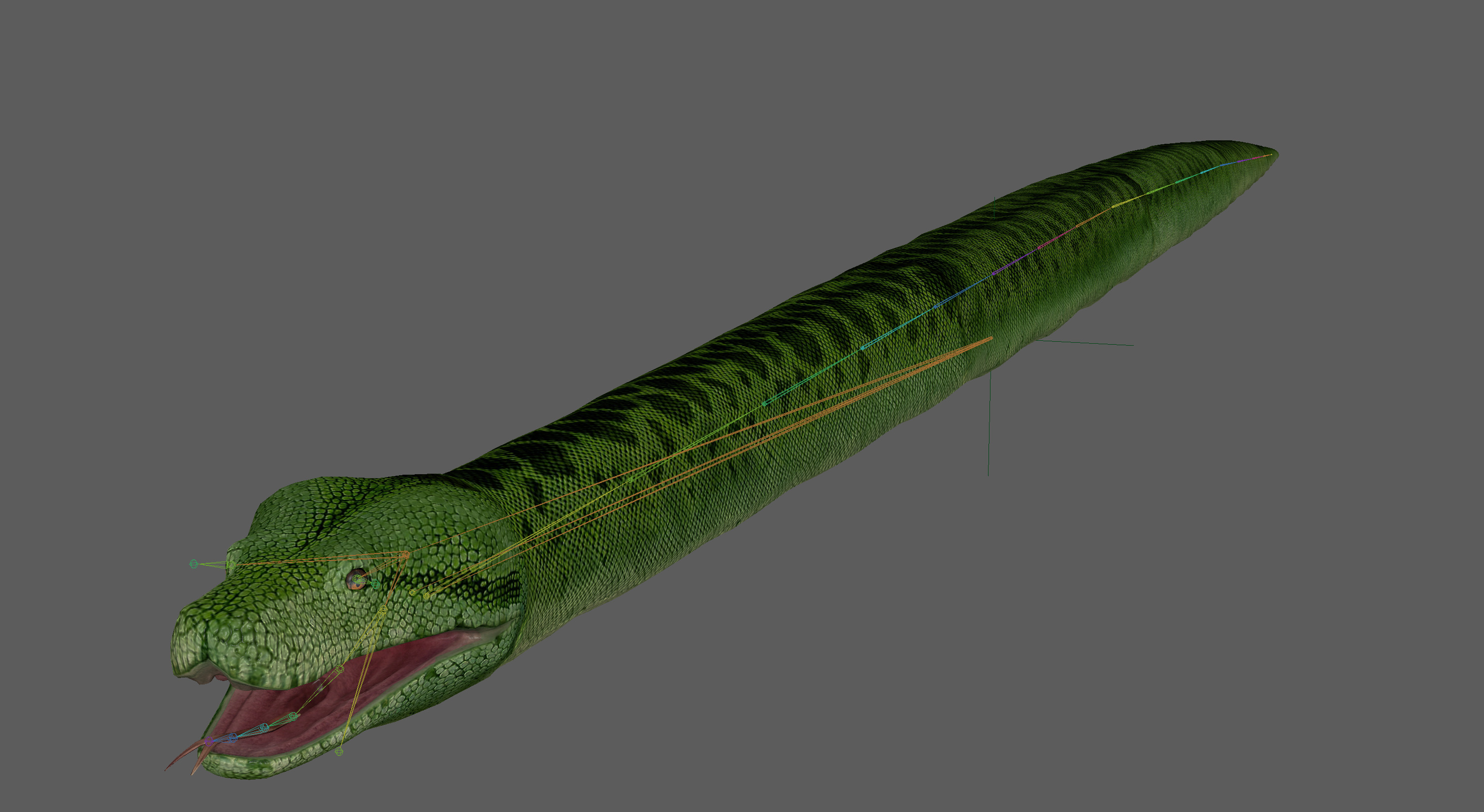 Green Python Snake 3D model_9