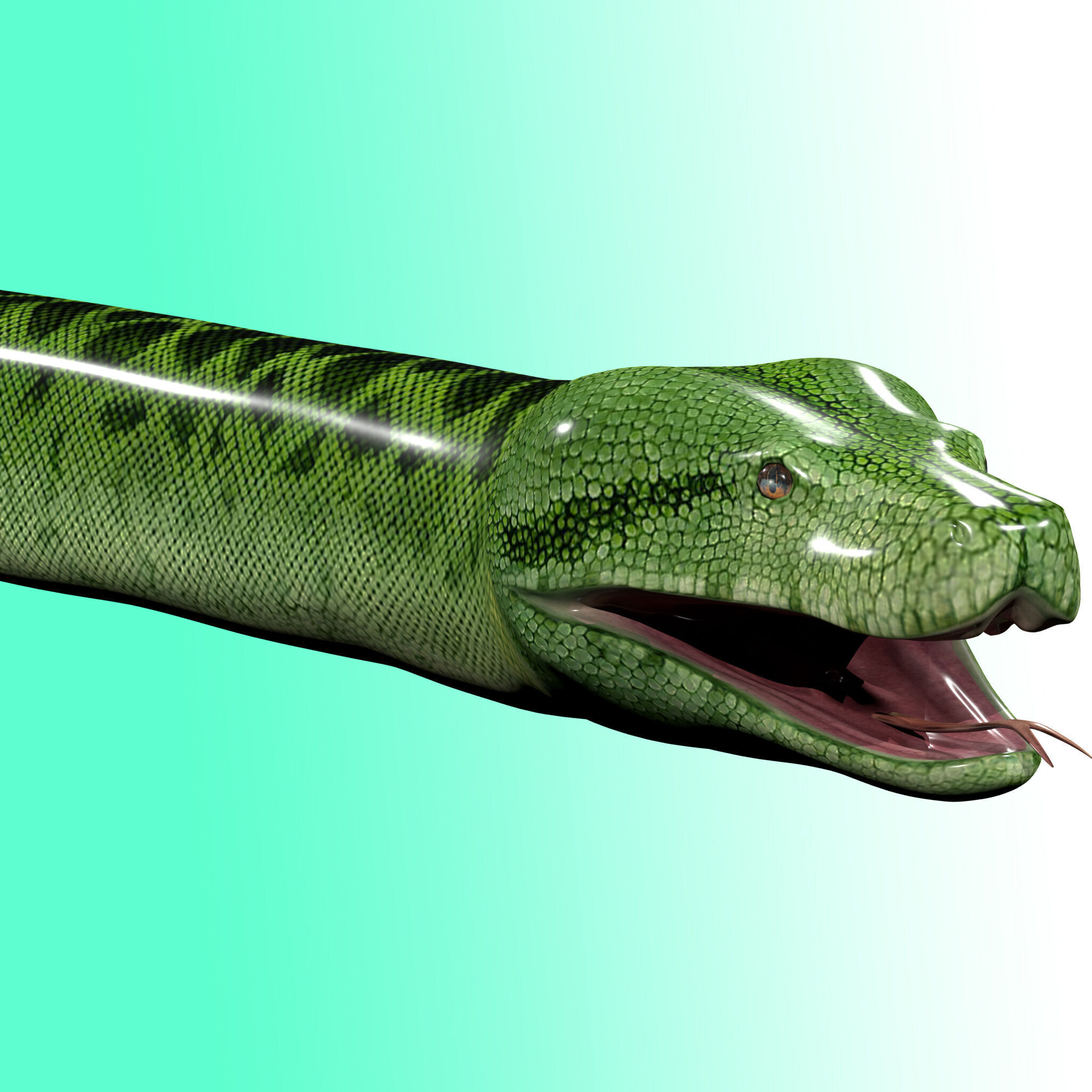 Green Python Snake 3D model_3