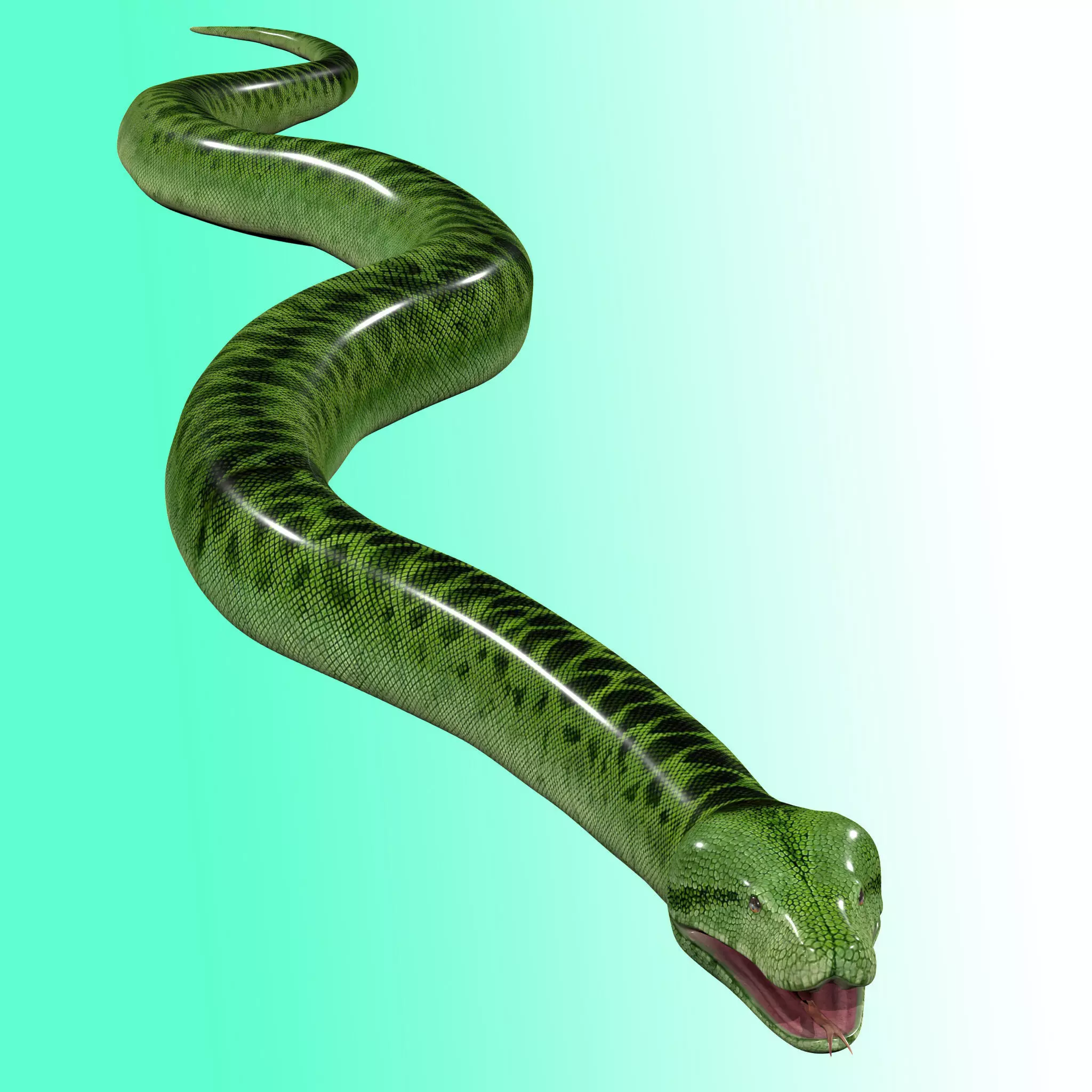 Green Python Snake 3D model_0