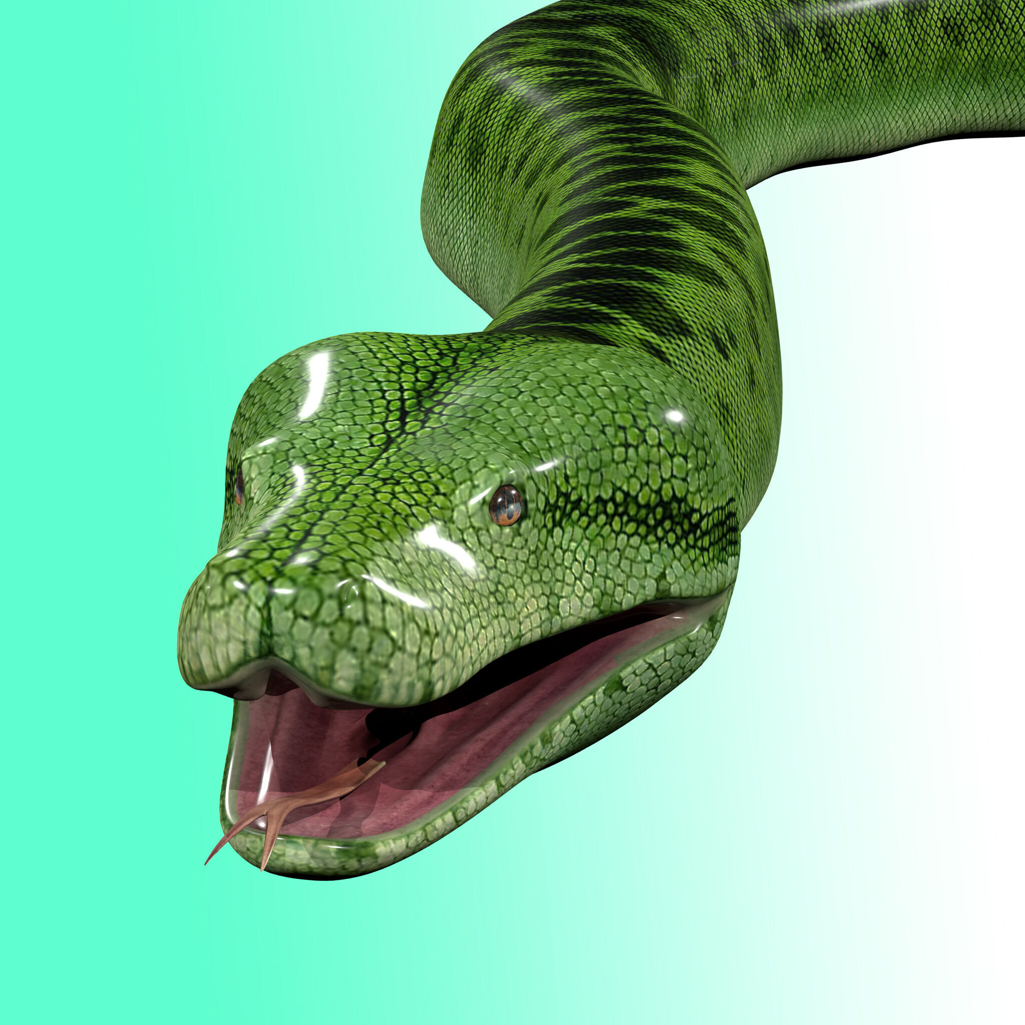 Green Python Snake 3D model_2