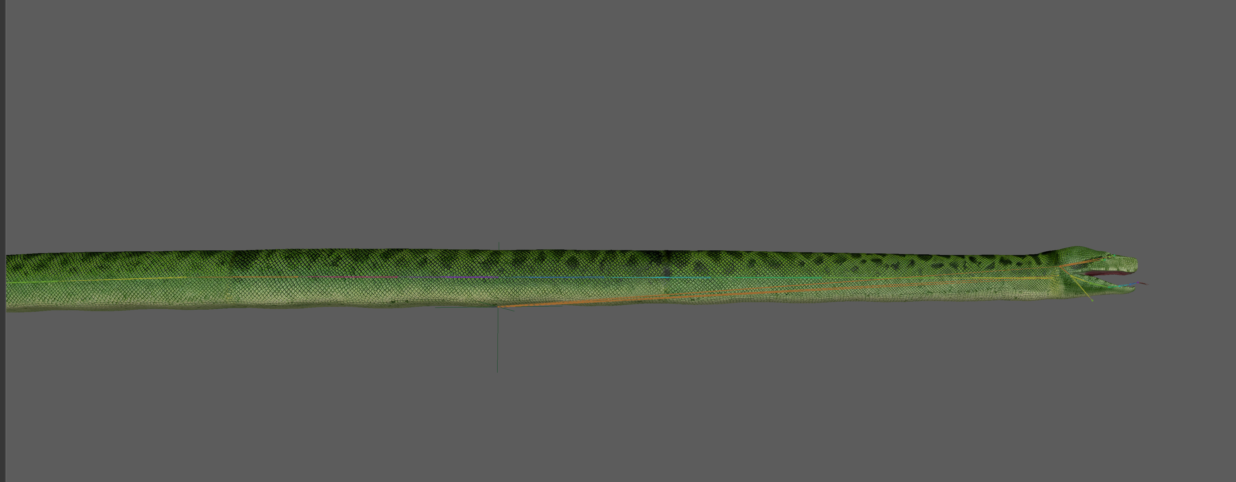 Green Python Snake 3D model_18