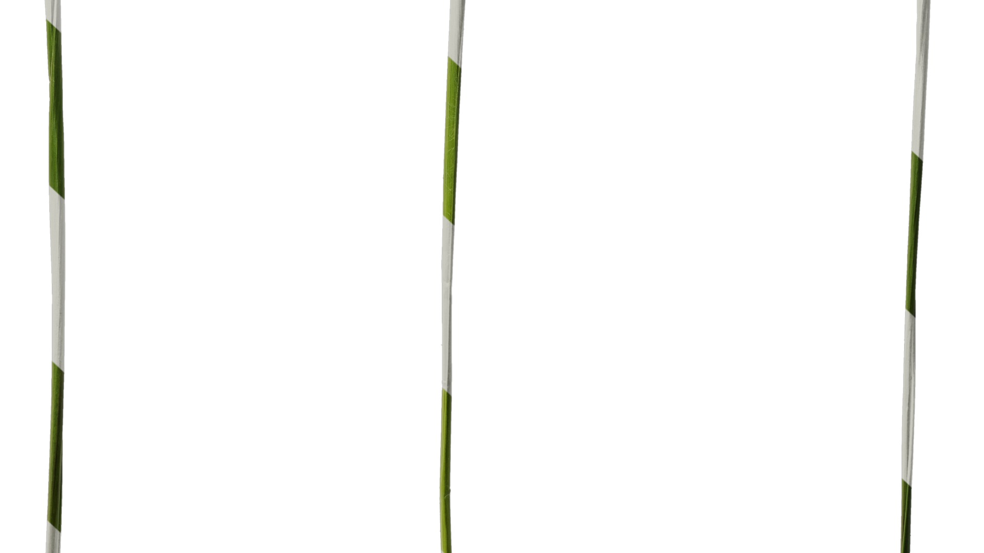 Anydrafts Eragrostis cilianensis Inflorescence 03 Texture_6