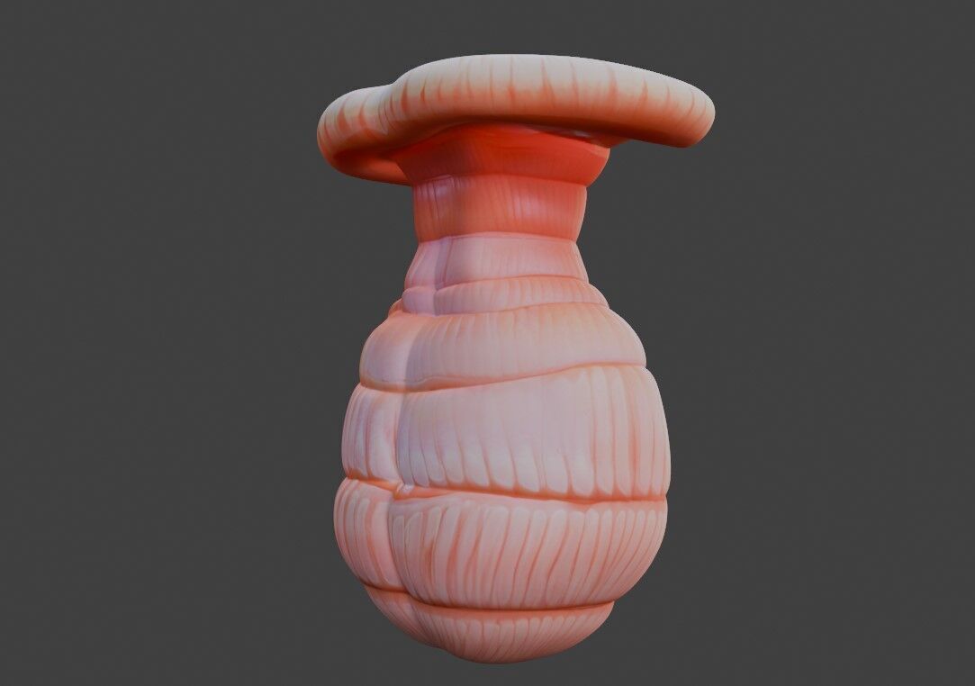 3D Model of Exocrine Gland Anatomy 3D print model_2