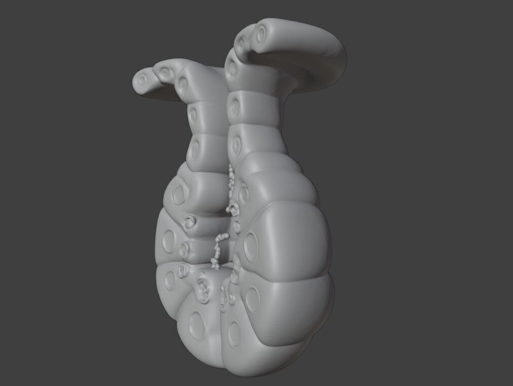 3D Model of Exocrine Gland Anatomy 3D print model_6