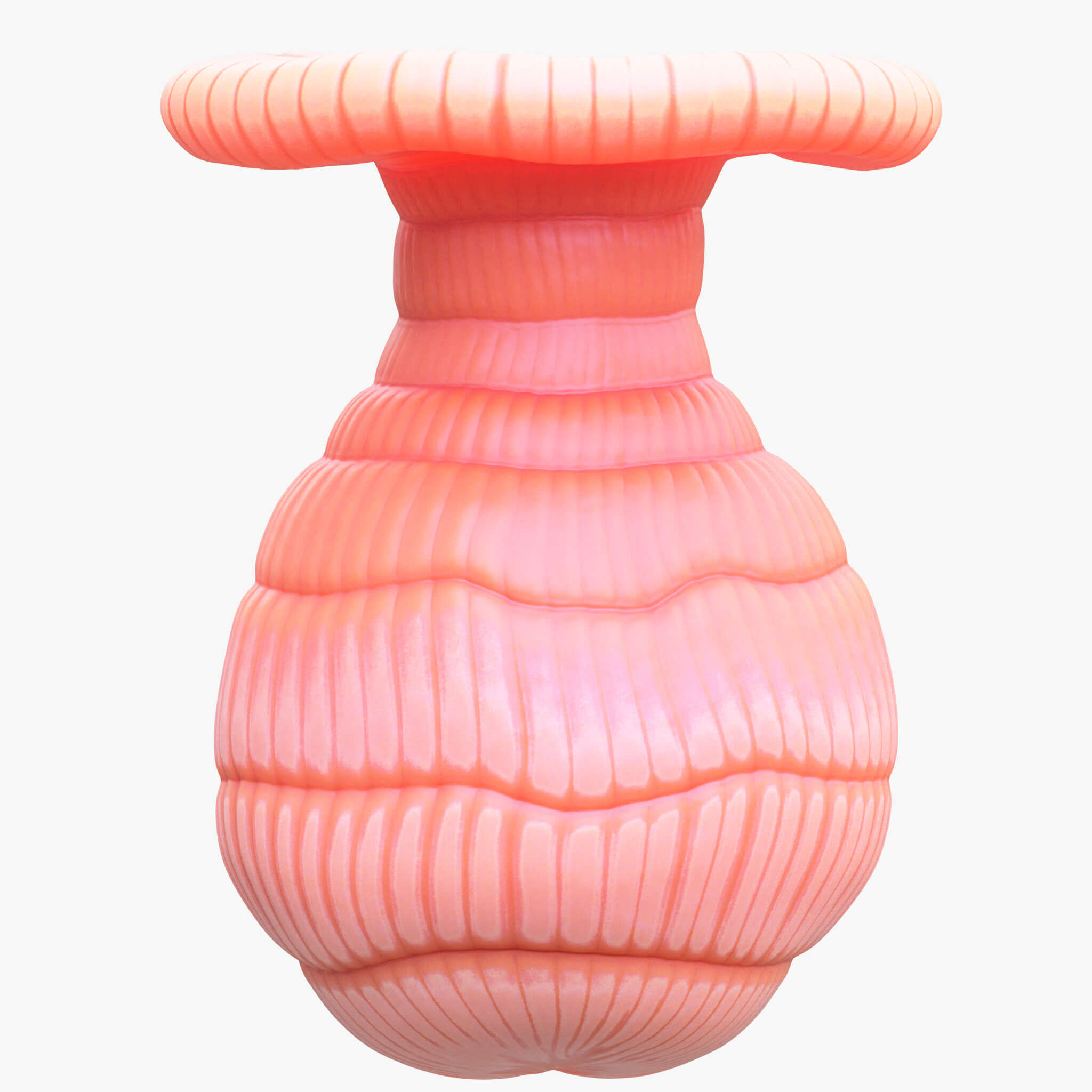 3D Model of Exocrine Gland Anatomy 3D print model_14