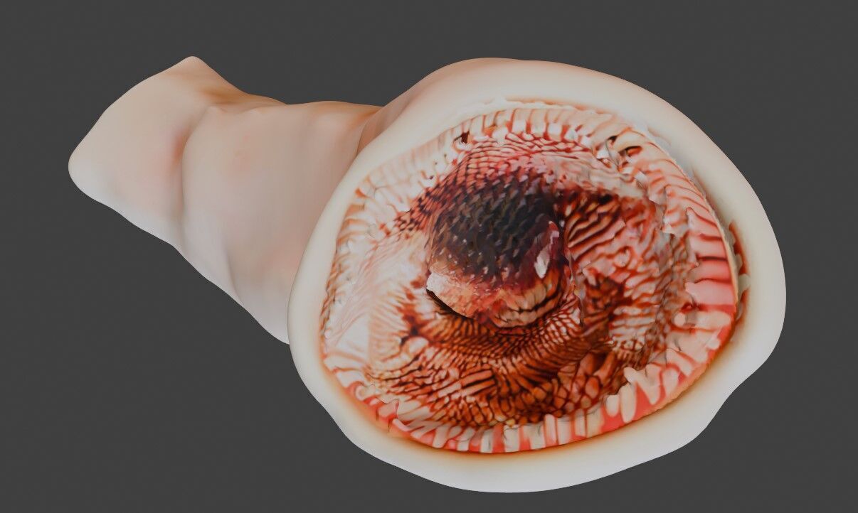 3D Intestinal Microvilli Anatomy 3D print model_3