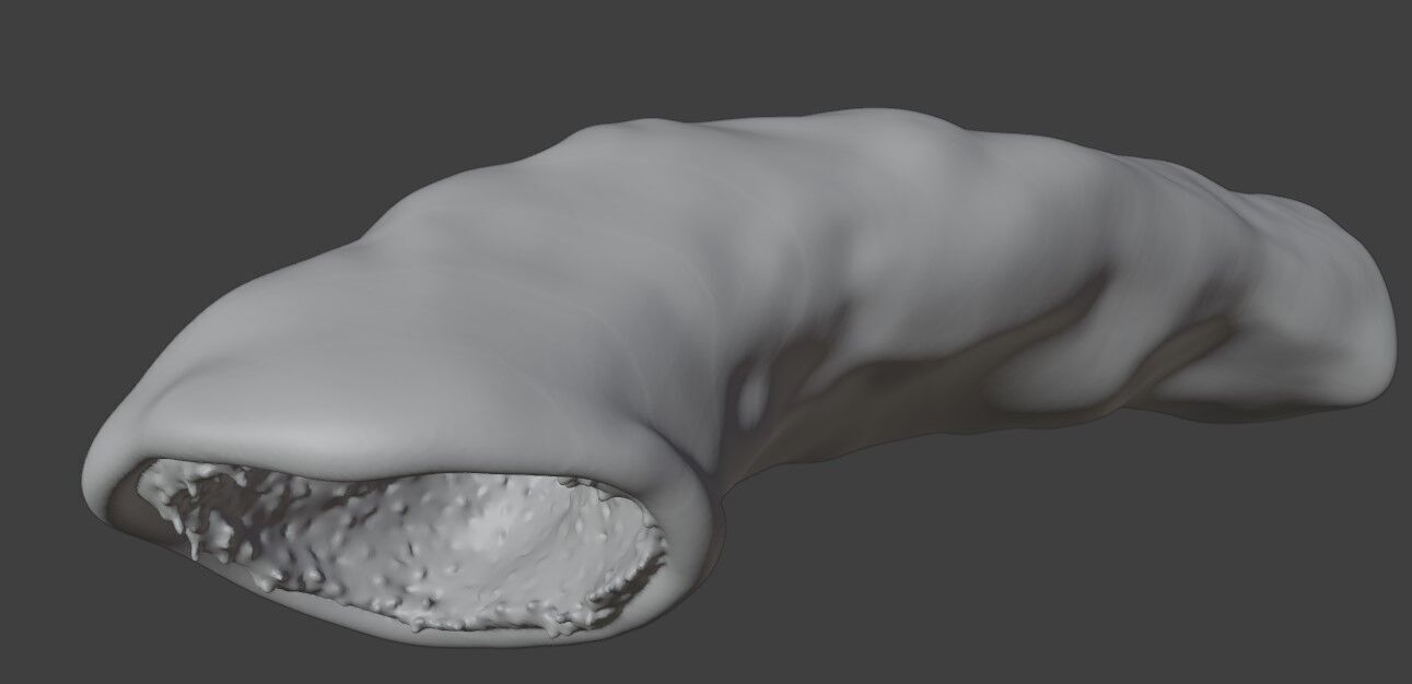 3D Intestinal Microvilli Anatomy 3D print model_6