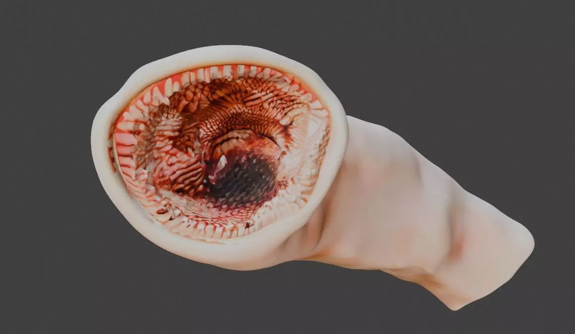 3D Intestinal Microvilli Anatomy 3D print model_0