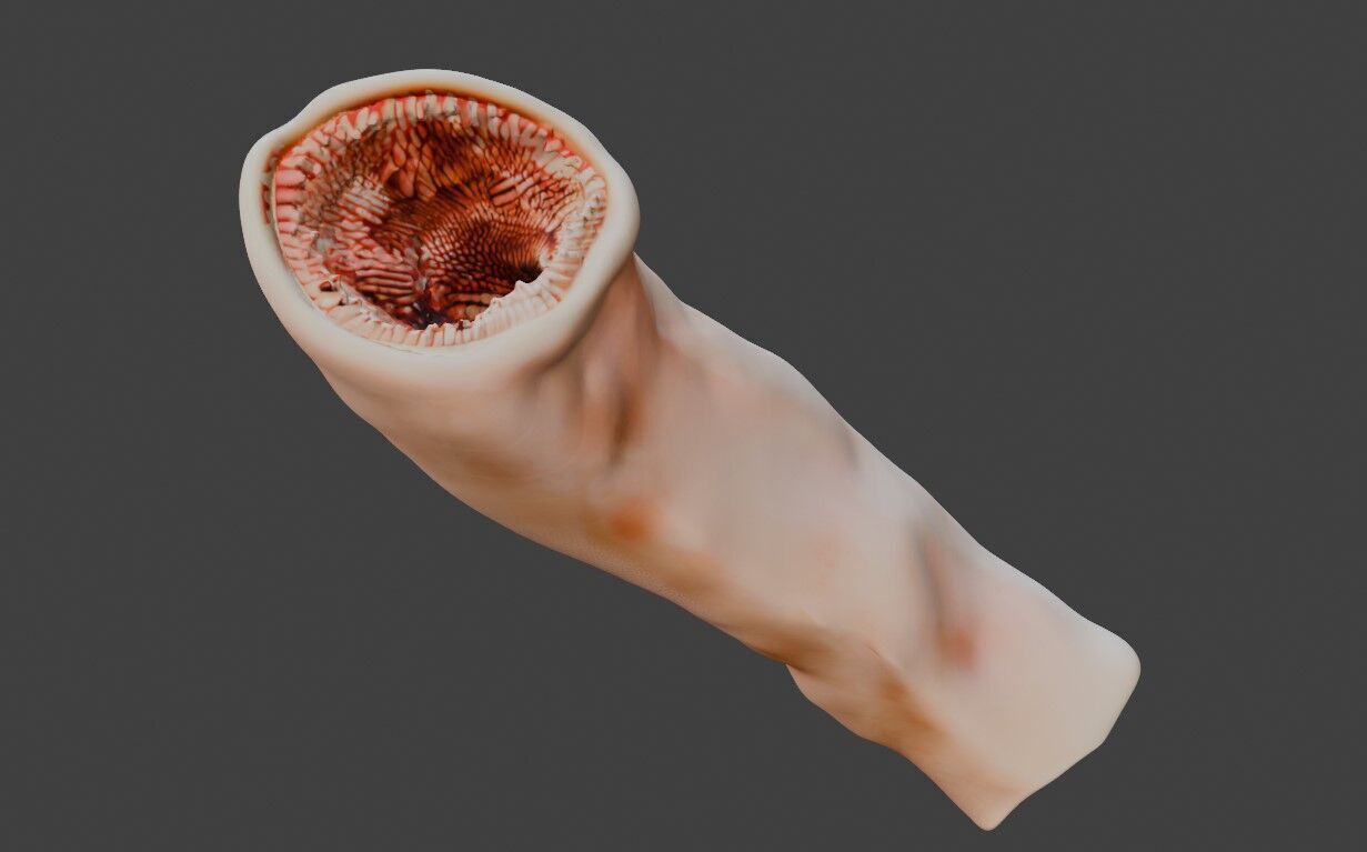 3D Intestinal Microvilli Anatomy 3D print model_1