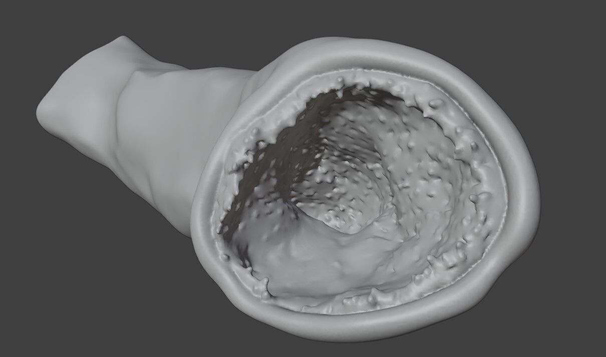 3D Intestinal Microvilli Anatomy 3D print model_4