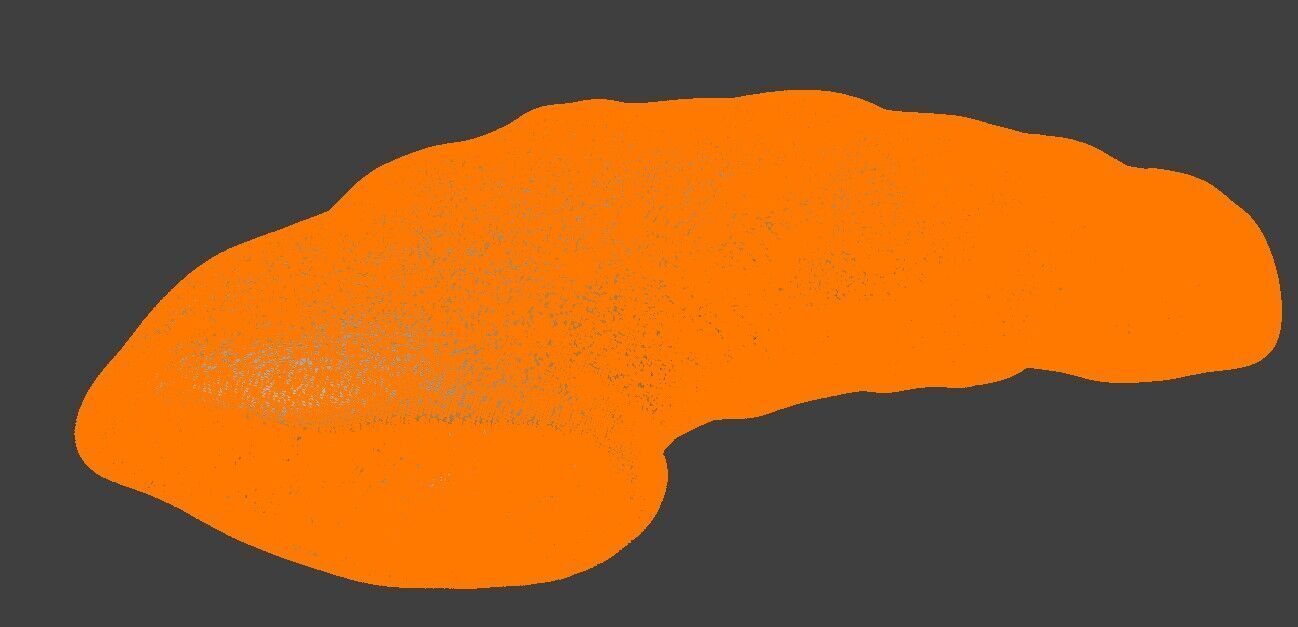 3D Intestinal Microvilli Anatomy 3D print model_7