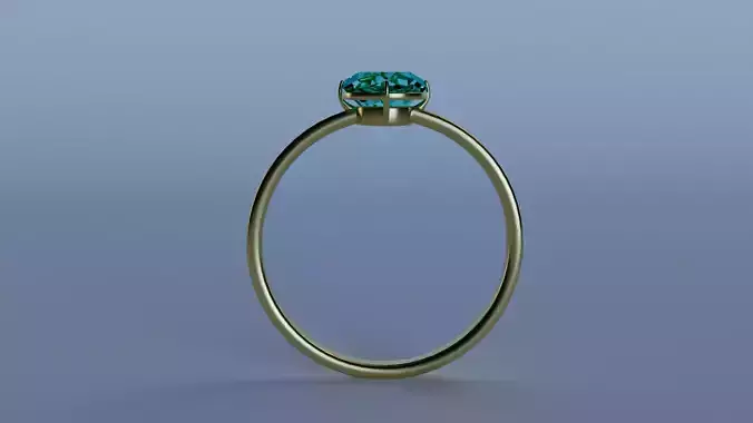 Ring 3d model