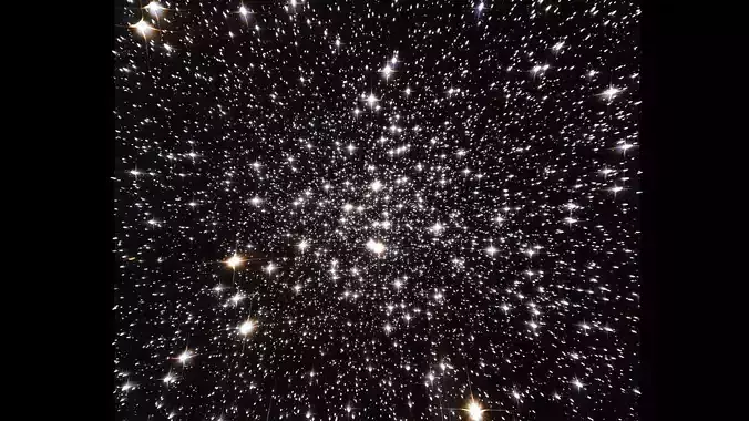 Vega Cluster