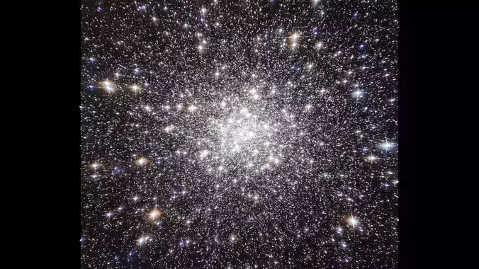 Vega Cluster