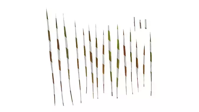 Anydrafts Pennisetum purpureum princess Leaf 01