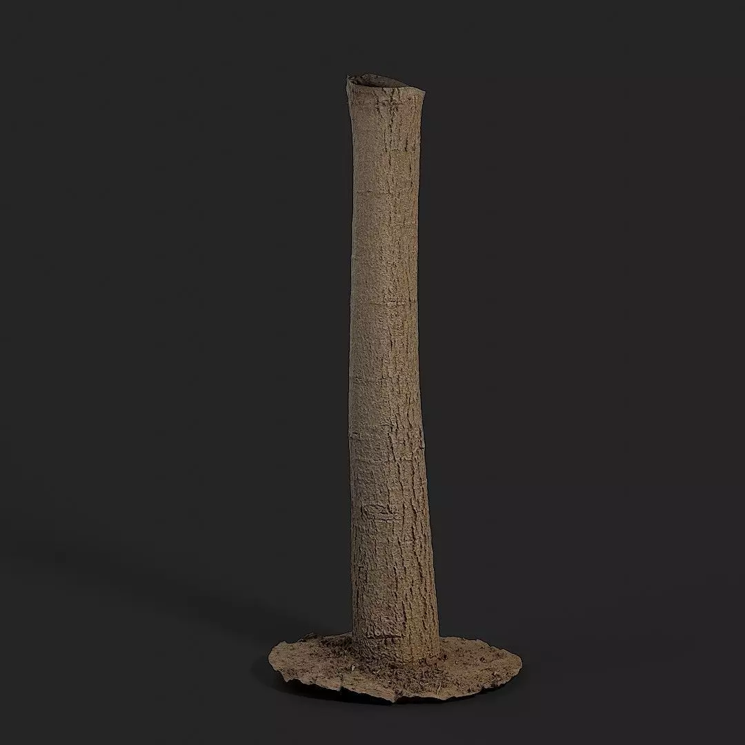 Walnut Tree 004 3D model_0