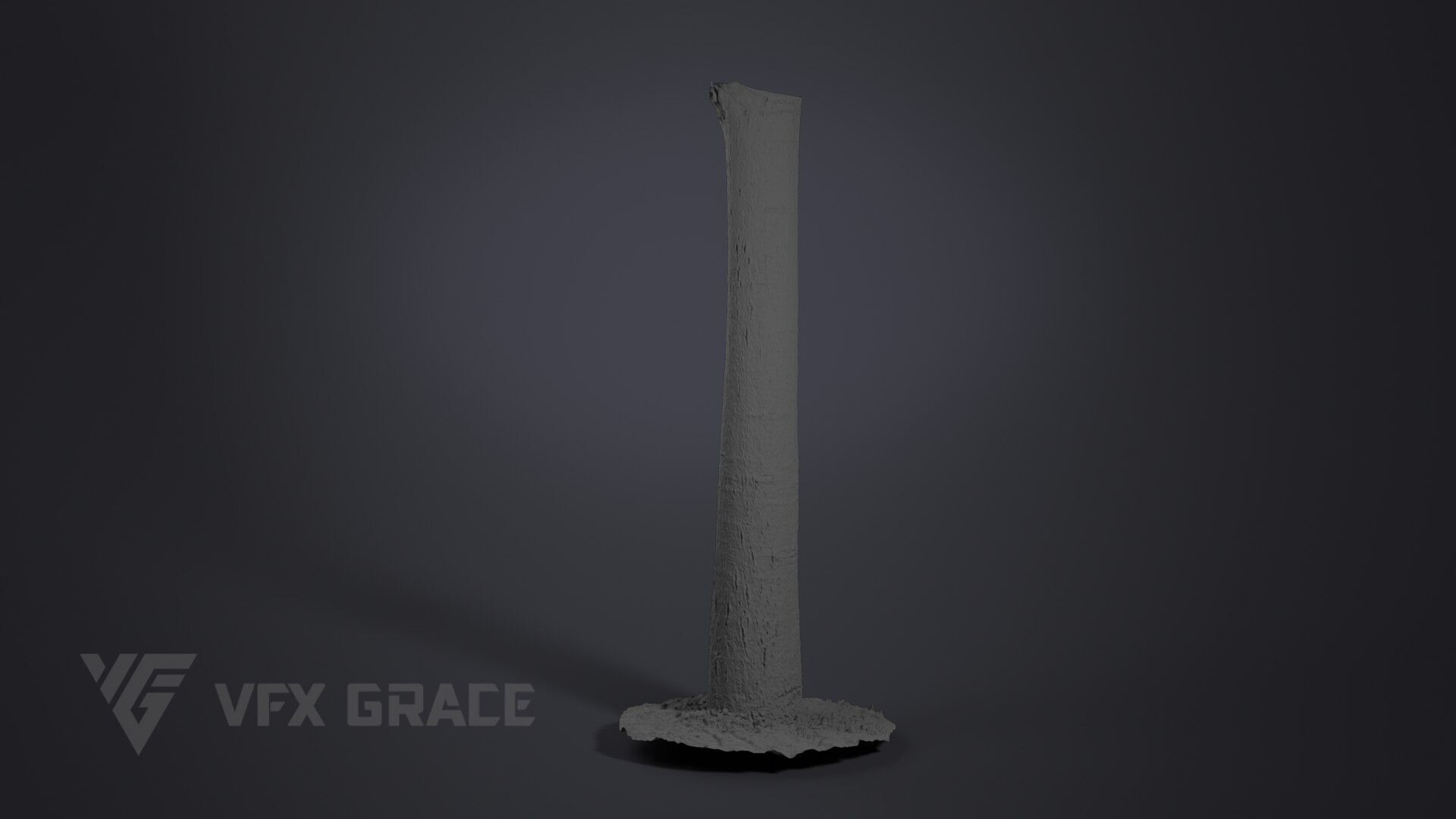 Walnut Tree 004 3D model_6