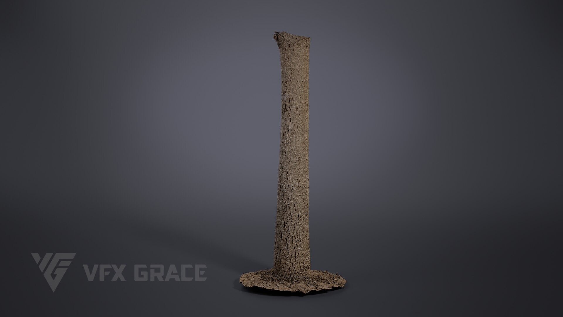 Walnut Tree 004 3D model_2