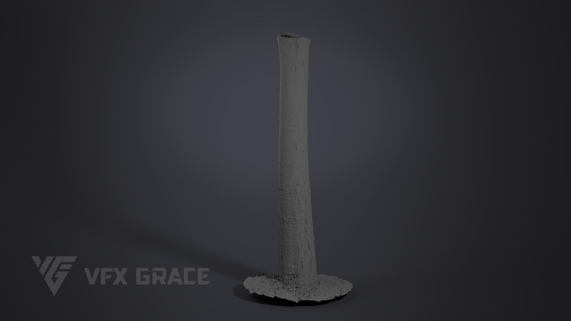Walnut Tree 004 3D model_5