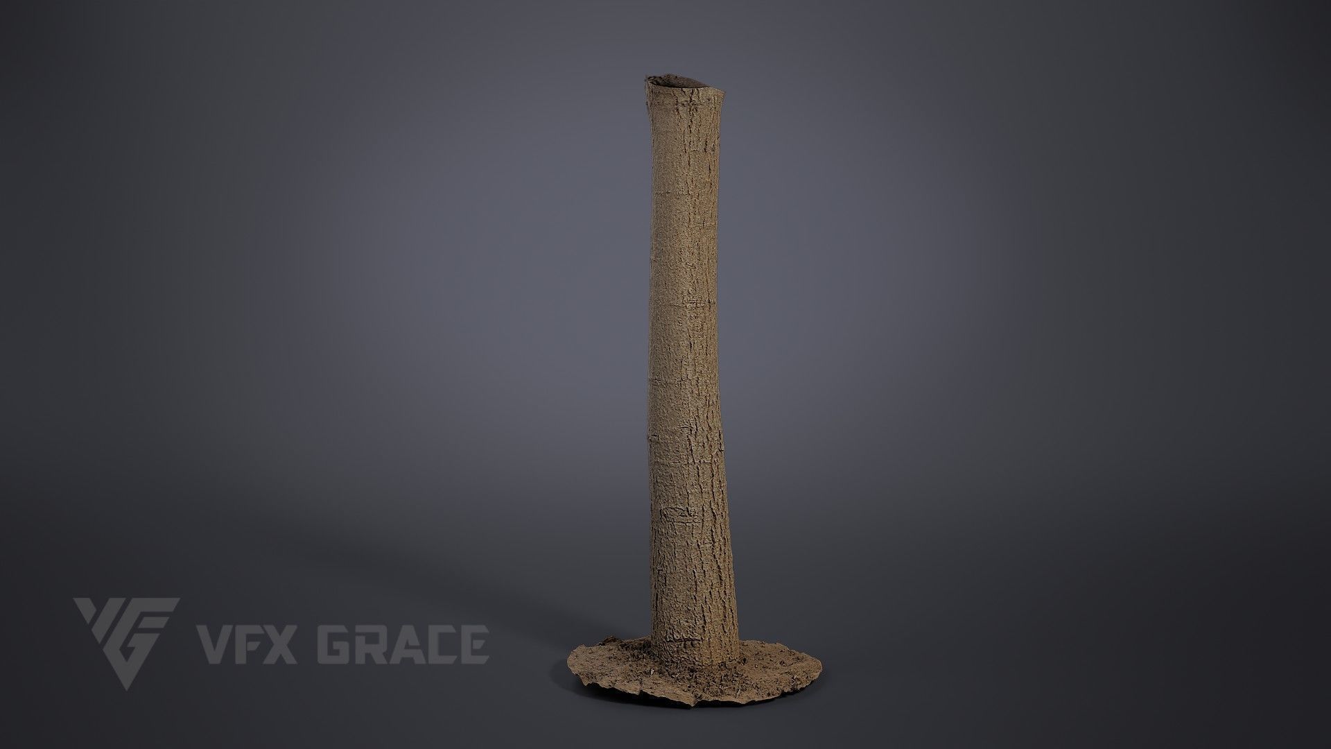 Walnut Tree 004 3D model_1