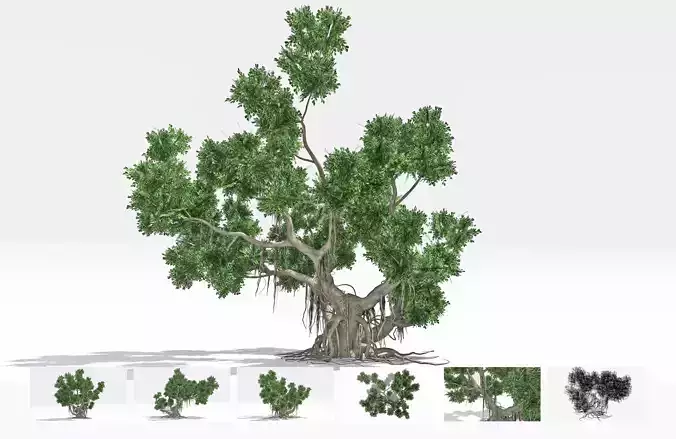 Chinese Banyan Tree-S5 Low-poly 3D model