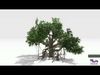 Chinese Banyan Tree-S6 Low-poly 3D model_1