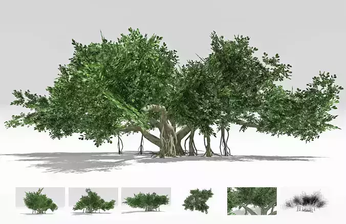 Chinese Banyan Tree-S7 Low-poly 3D model