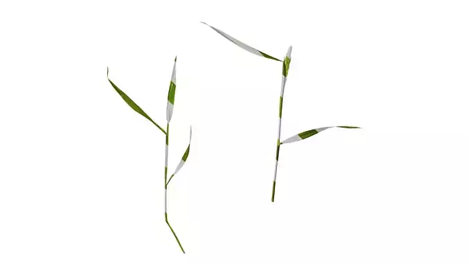 Anydrafts Polypogon fugax Atlas 11