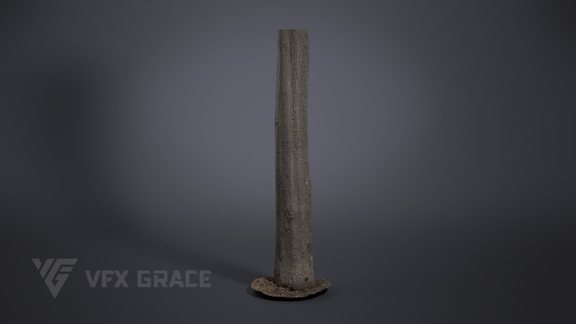 Tree Of Heaven 3D model_3