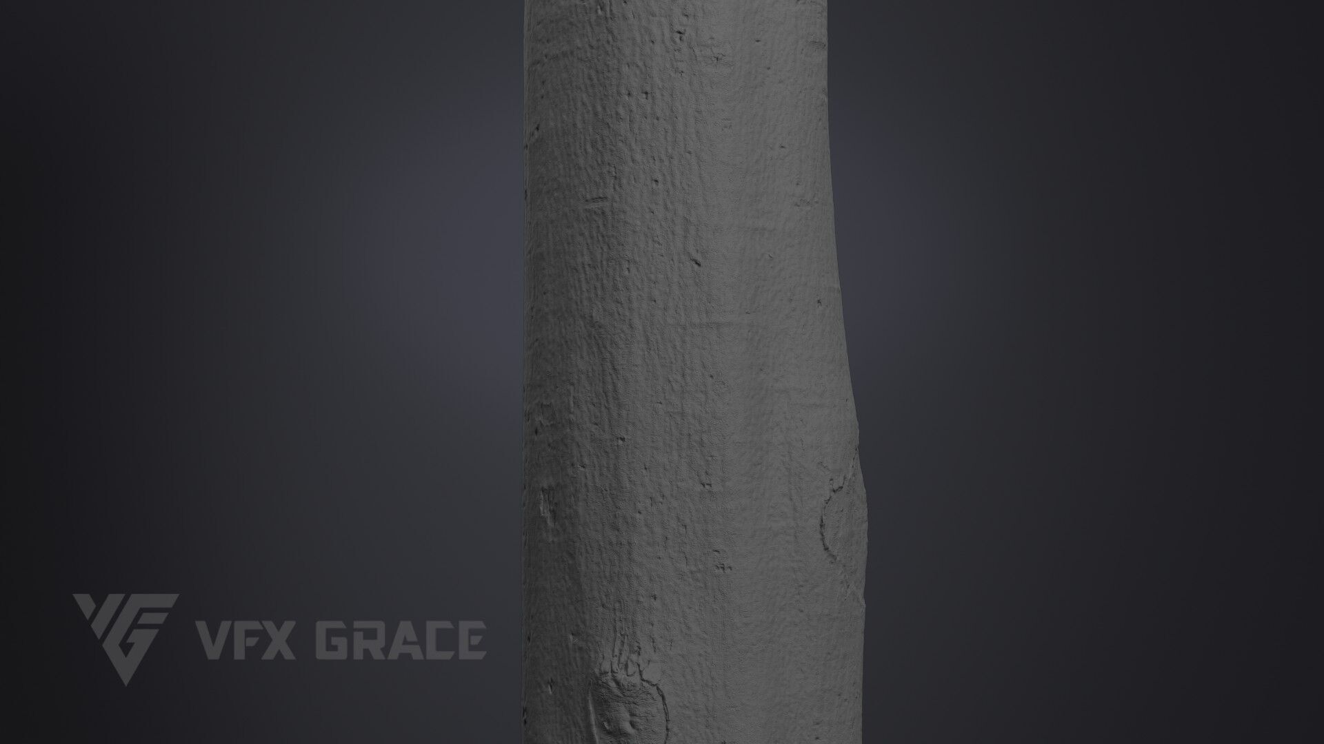Tree Of Heaven 3D model_8