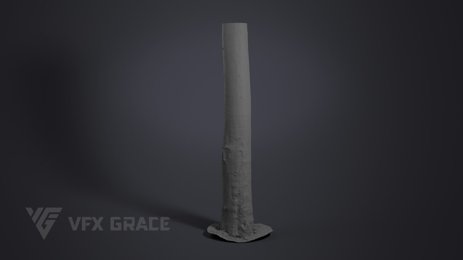 Tree Of Heaven 3D model_5