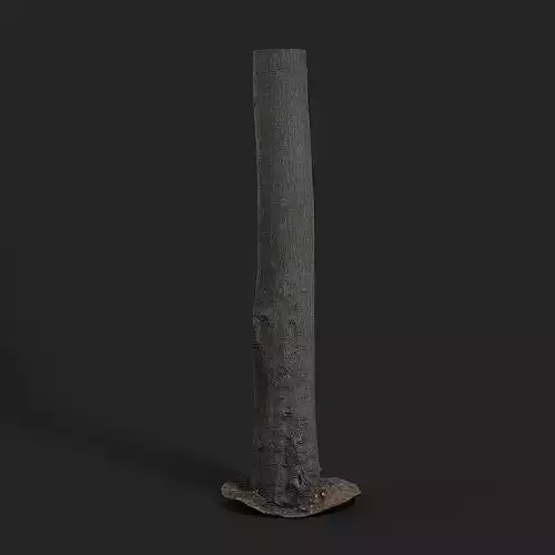Tree Of Heaven 3D model