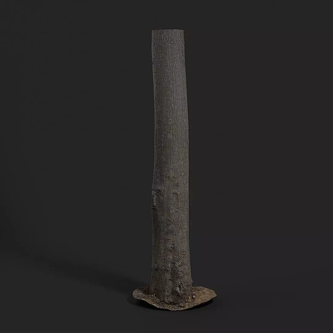 Tree Of Heaven 3D model_0