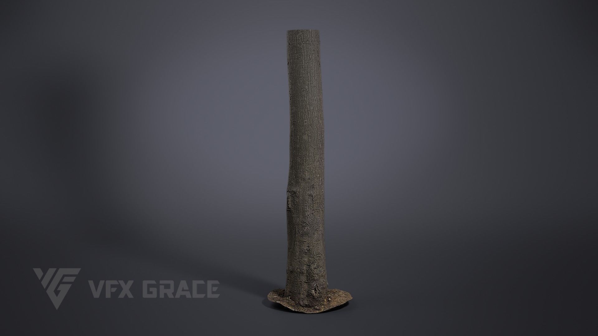Tree Of Heaven 3D model_1
