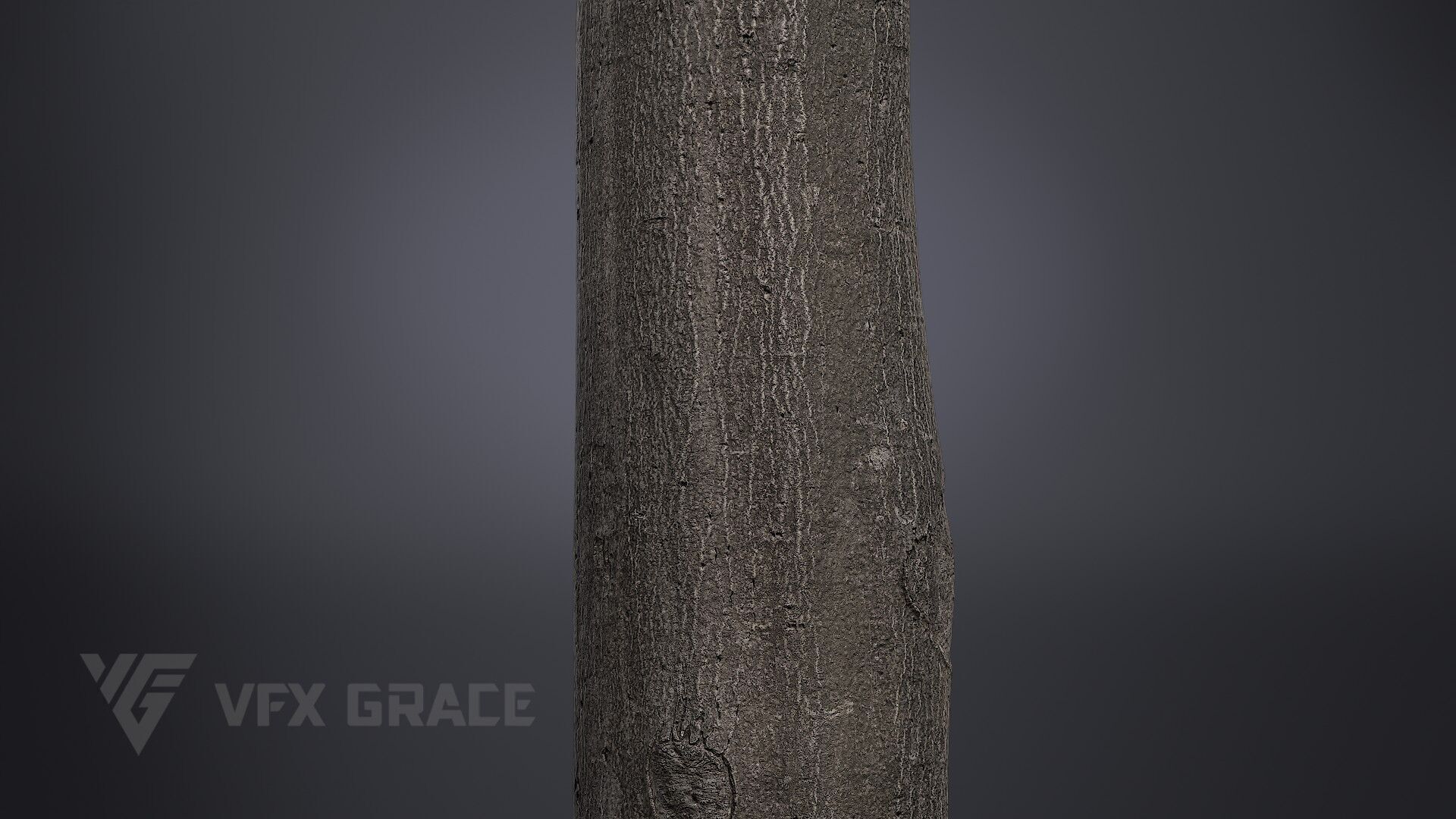 Tree Of Heaven 3D model_4