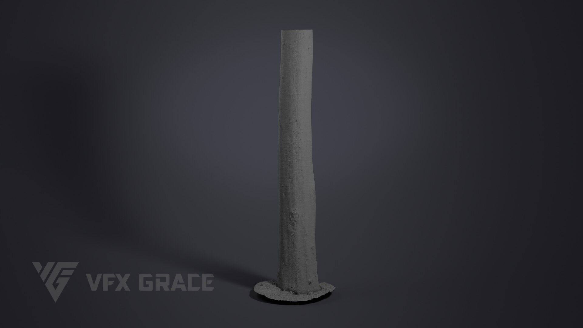 Tree Of Heaven 3D model_7