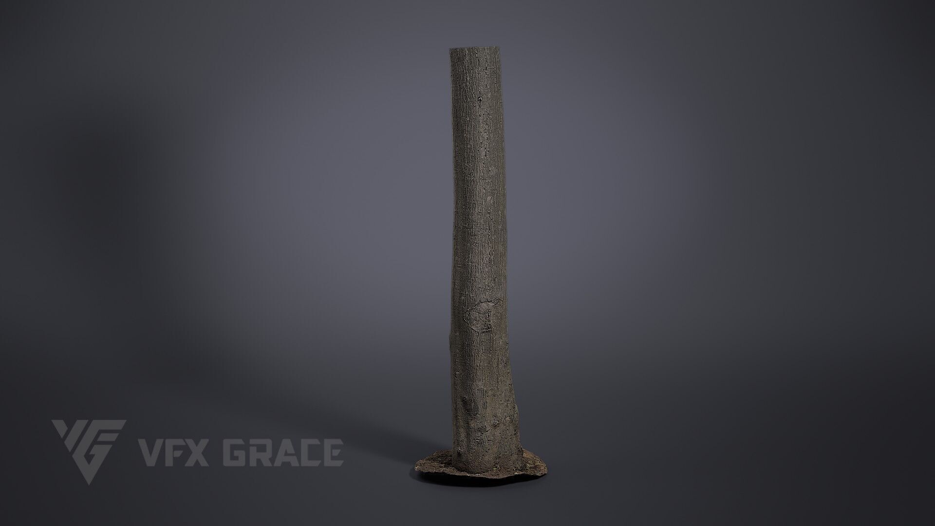 Tree Of Heaven 3D model_2