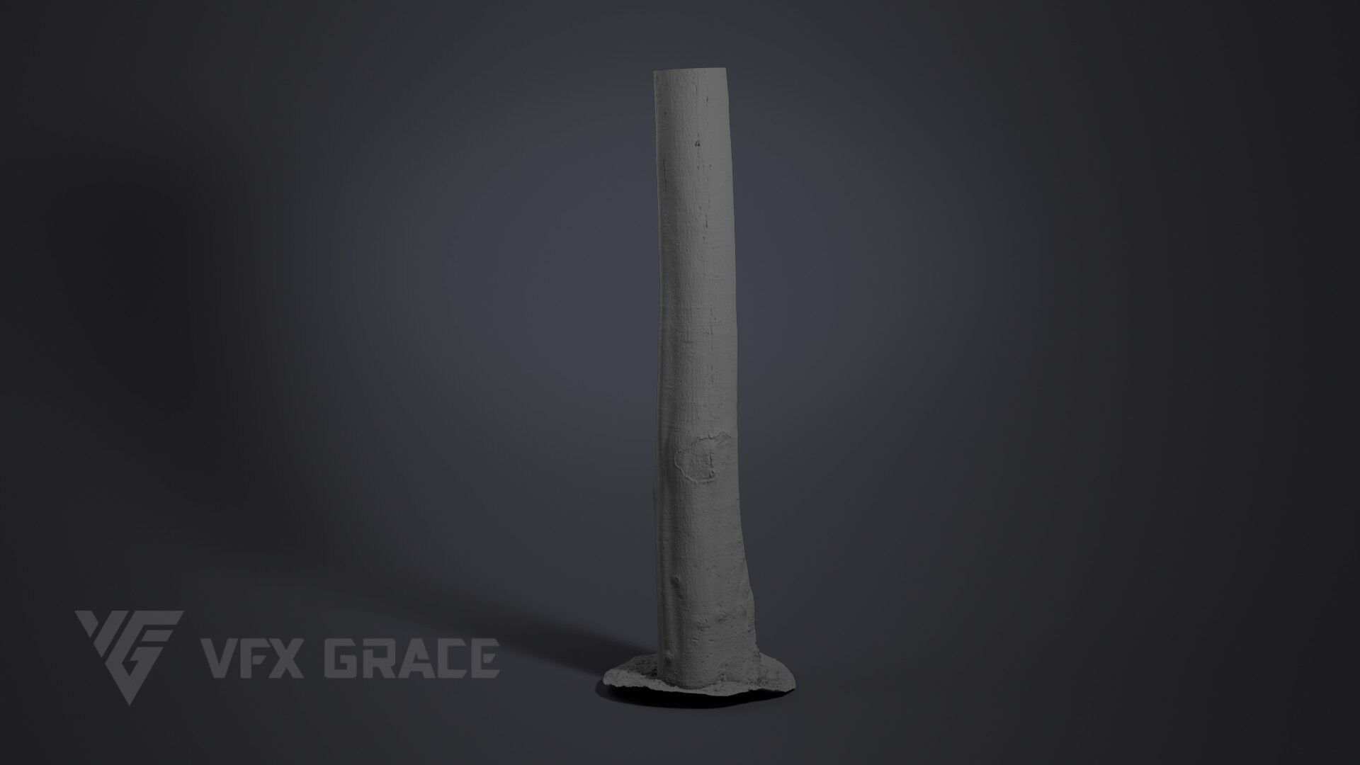 Tree Of Heaven 3D model_6