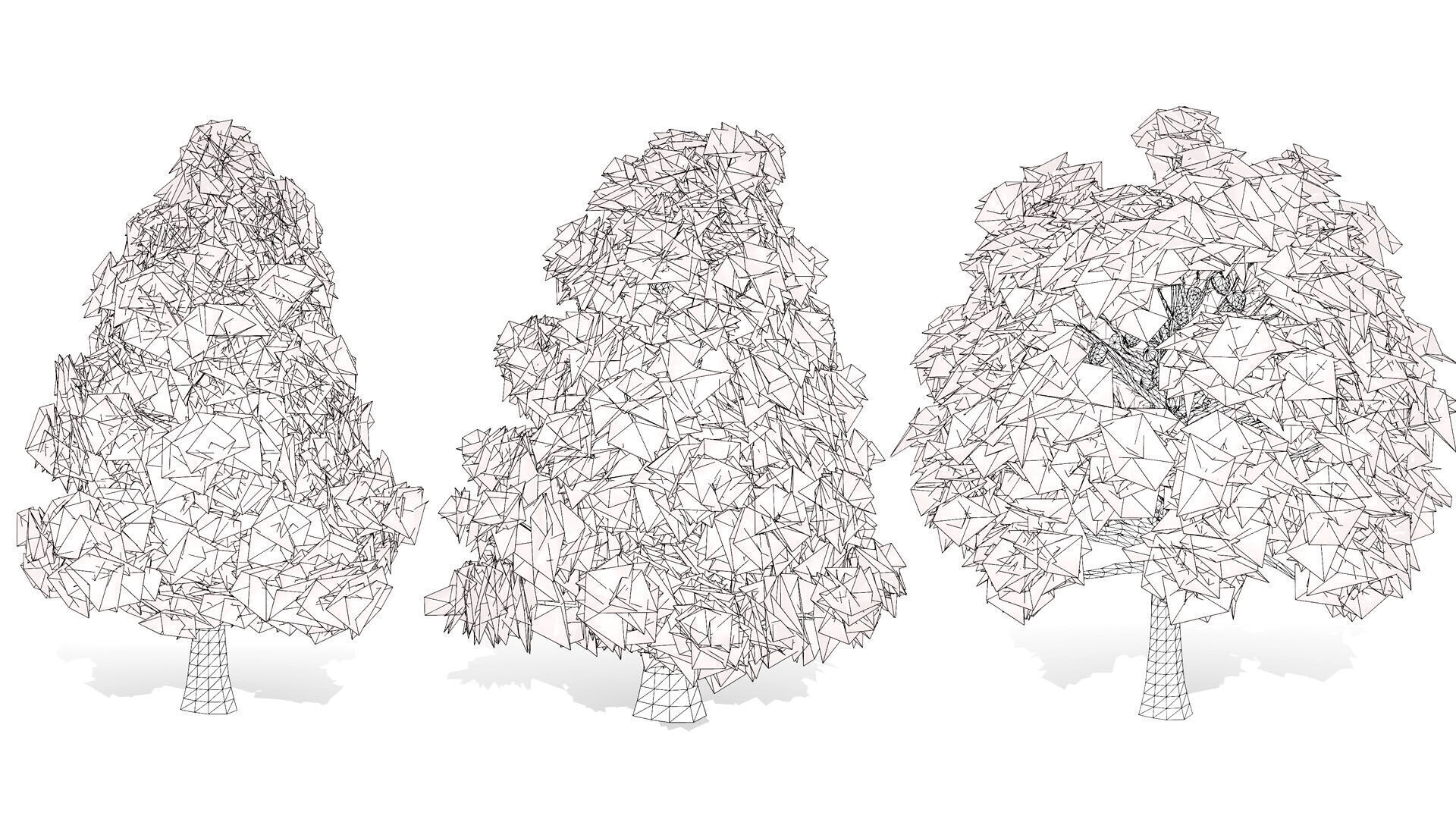 Australian Bunya Pine Trees Low-poly 3D model_13